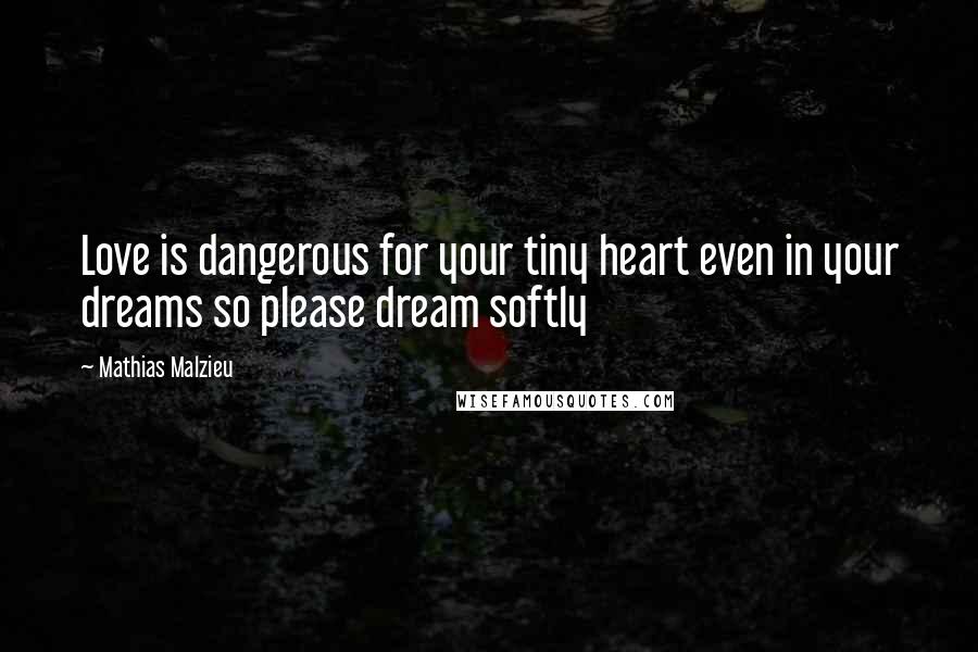 Mathias Malzieu Quotes: Love is dangerous for your tiny heart even in your dreams so please dream softly