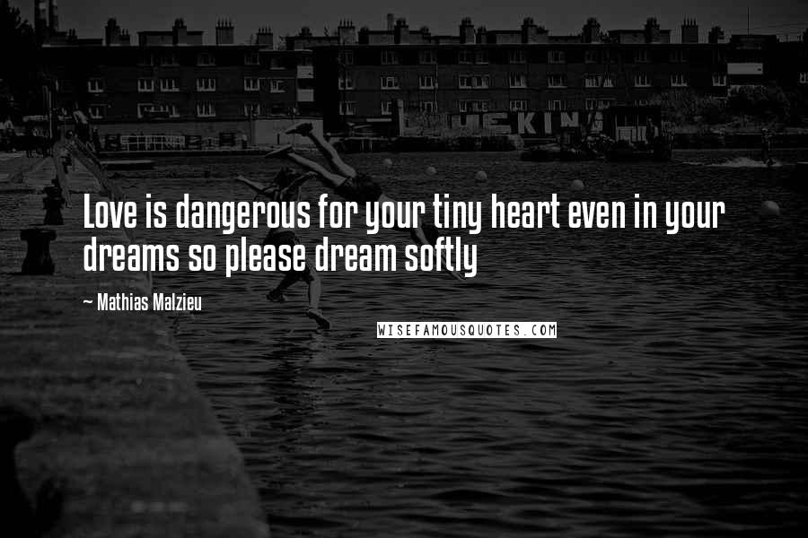 Mathias Malzieu Quotes: Love is dangerous for your tiny heart even in your dreams so please dream softly