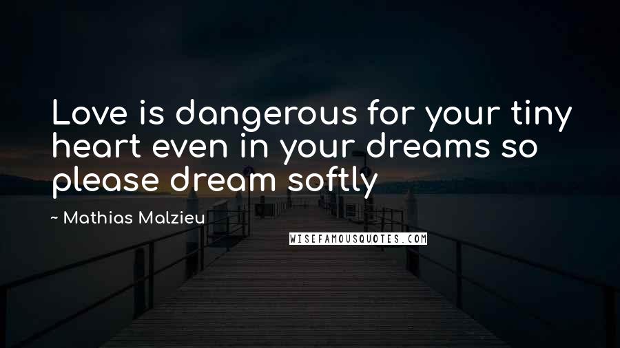 Mathias Malzieu Quotes: Love is dangerous for your tiny heart even in your dreams so please dream softly