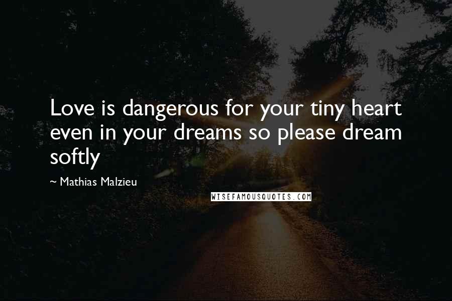Mathias Malzieu Quotes: Love is dangerous for your tiny heart even in your dreams so please dream softly