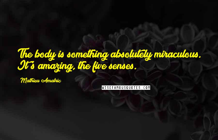 Mathieu Amalric Quotes: The body is something absolutely miraculous. It's amazing, the five senses.