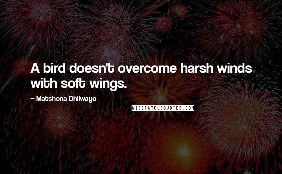 Matshona Dhliwayo Quotes: A bird doesn't overcome harsh winds with soft wings.