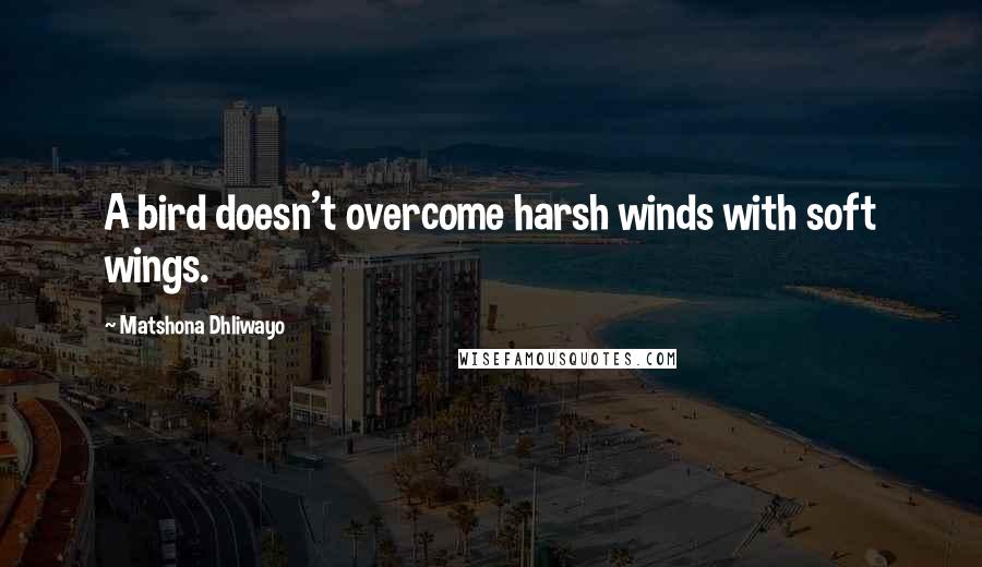 Matshona Dhliwayo Quotes: A bird doesn't overcome harsh winds with soft wings.