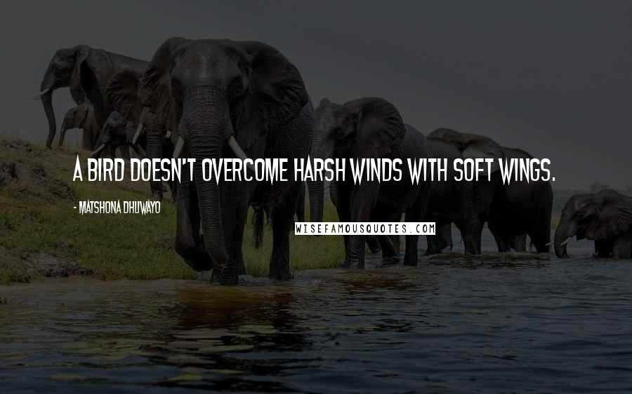 Matshona Dhliwayo Quotes: A bird doesn't overcome harsh winds with soft wings.
