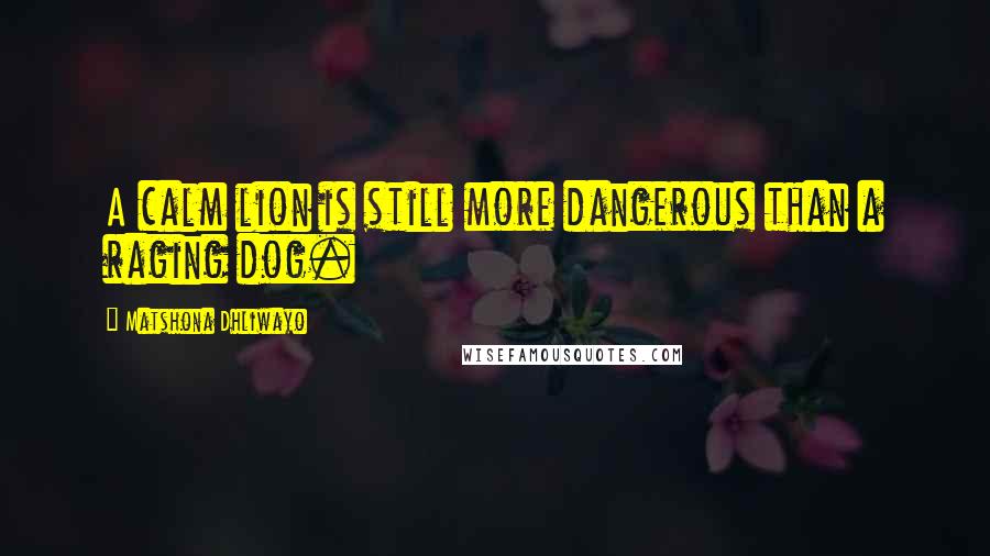 Matshona Dhliwayo Quotes: A calm lion is still more dangerous than a raging dog.