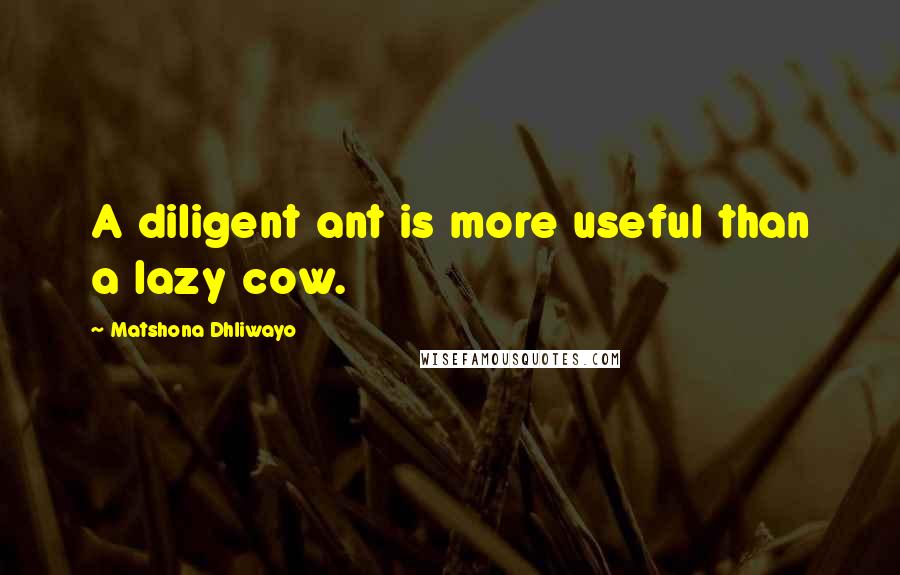 Matshona Dhliwayo Quotes: A diligent ant is more useful than a lazy cow.