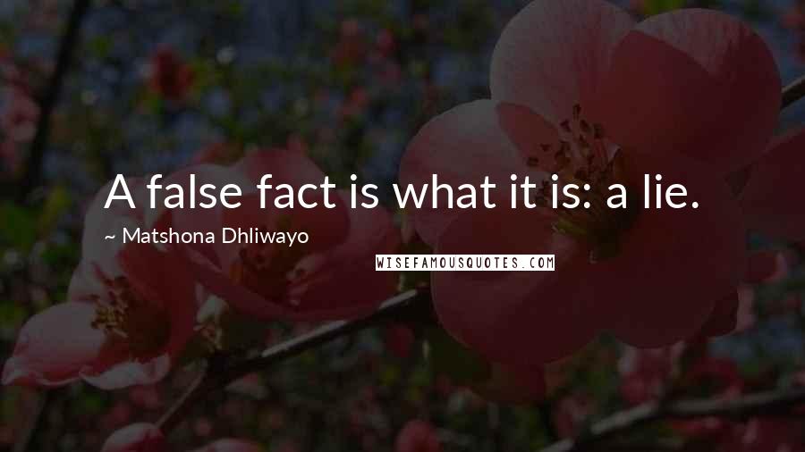 Matshona Dhliwayo Quotes: A false fact is what it is: a lie.
