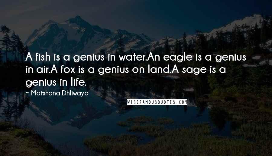 Matshona Dhliwayo Quotes: A fish is a genius in water.An eagle is a genius in air.A fox is a genius on land.A sage is a genius in life.