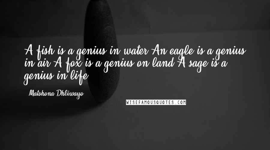 Matshona Dhliwayo Quotes: A fish is a genius in water.An eagle is a genius in air.A fox is a genius on land.A sage is a genius in life.