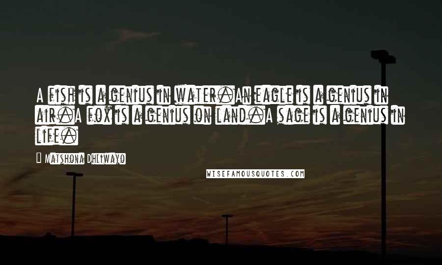 Matshona Dhliwayo Quotes: A fish is a genius in water.An eagle is a genius in air.A fox is a genius on land.A sage is a genius in life.