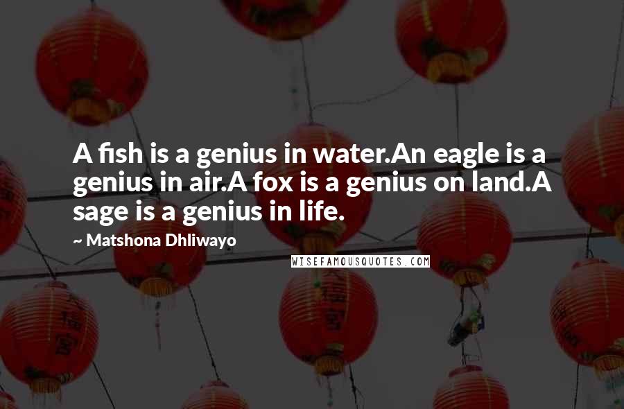 Matshona Dhliwayo Quotes: A fish is a genius in water.An eagle is a genius in air.A fox is a genius on land.A sage is a genius in life.