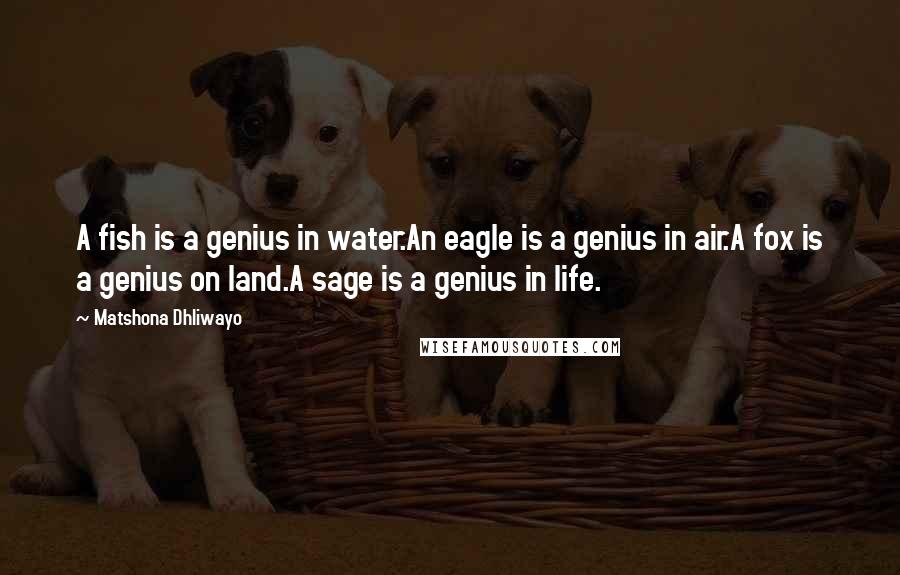 Matshona Dhliwayo Quotes: A fish is a genius in water.An eagle is a genius in air.A fox is a genius on land.A sage is a genius in life.