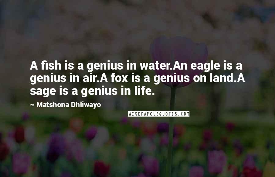 Matshona Dhliwayo Quotes: A fish is a genius in water.An eagle is a genius in air.A fox is a genius on land.A sage is a genius in life.