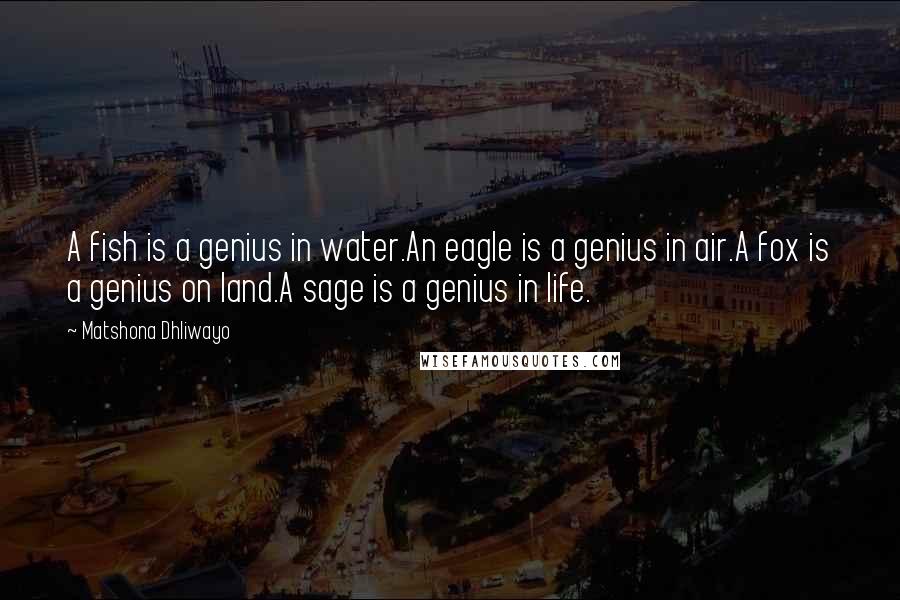 Matshona Dhliwayo Quotes: A fish is a genius in water.An eagle is a genius in air.A fox is a genius on land.A sage is a genius in life.