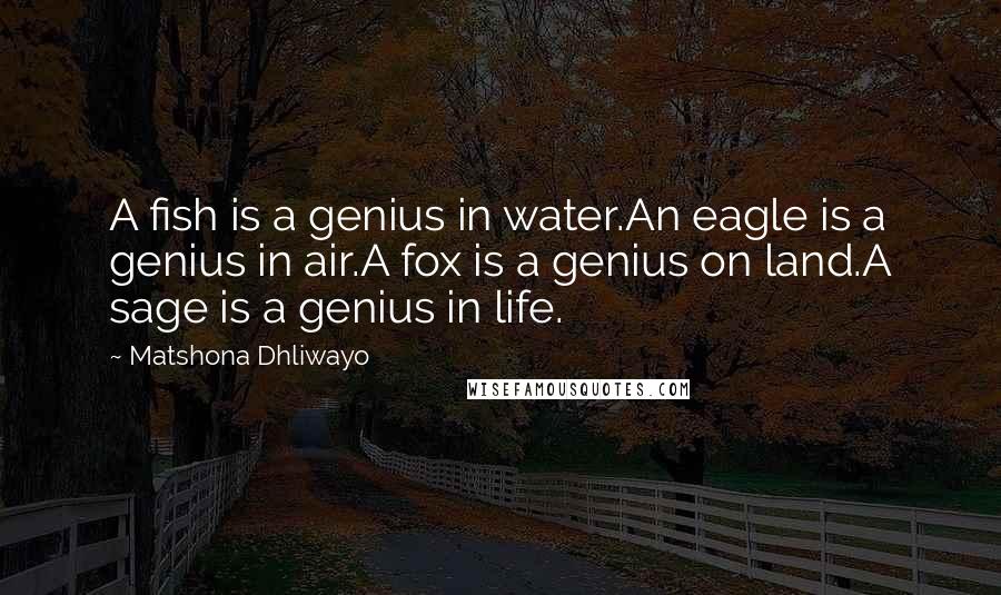 Matshona Dhliwayo Quotes: A fish is a genius in water.An eagle is a genius in air.A fox is a genius on land.A sage is a genius in life.