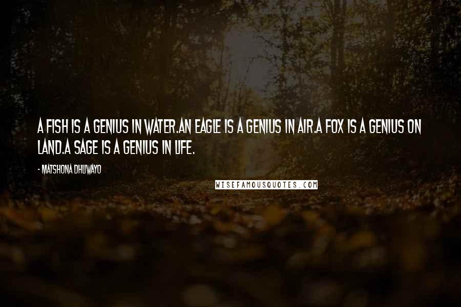 Matshona Dhliwayo Quotes: A fish is a genius in water.An eagle is a genius in air.A fox is a genius on land.A sage is a genius in life.