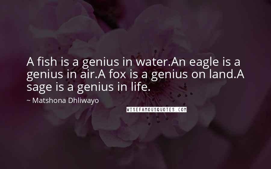 Matshona Dhliwayo Quotes: A fish is a genius in water.An eagle is a genius in air.A fox is a genius on land.A sage is a genius in life.