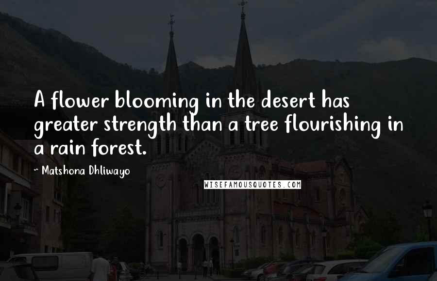 Matshona Dhliwayo Quotes: A flower blooming in the desert has greater strength than a tree flourishing in a rain forest.