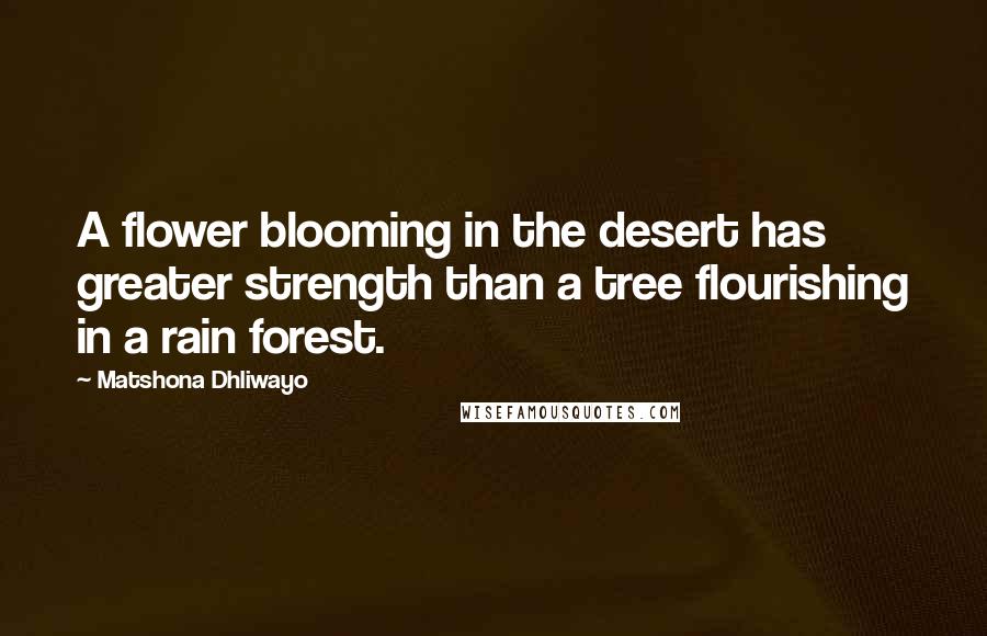 Matshona Dhliwayo Quotes: A flower blooming in the desert has greater strength than a tree flourishing in a rain forest.