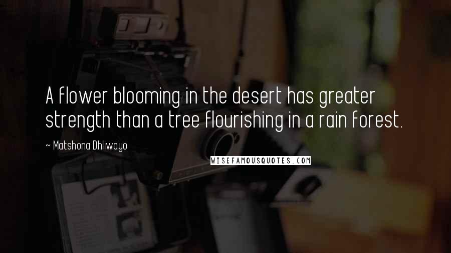 Matshona Dhliwayo Quotes: A flower blooming in the desert has greater strength than a tree flourishing in a rain forest.