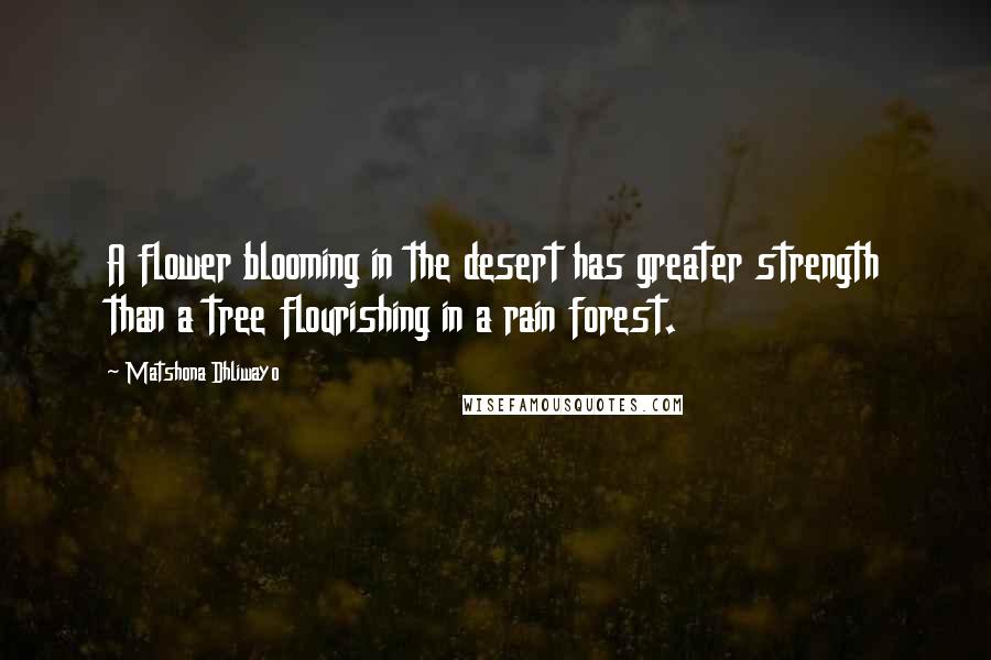 Matshona Dhliwayo Quotes: A flower blooming in the desert has greater strength than a tree flourishing in a rain forest.