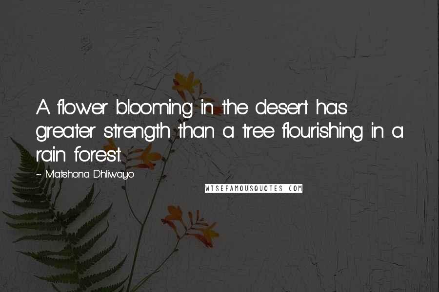 Matshona Dhliwayo Quotes: A flower blooming in the desert has greater strength than a tree flourishing in a rain forest.