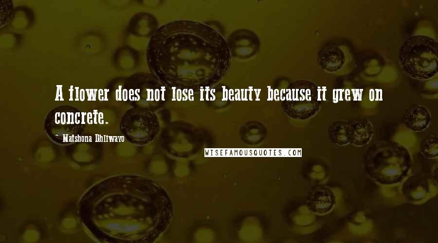 Matshona Dhliwayo Quotes: A flower does not lose its beauty because it grew on concrete.
