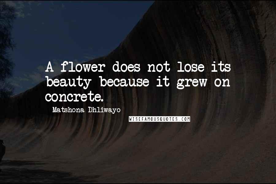 Matshona Dhliwayo Quotes: A flower does not lose its beauty because it grew on concrete.