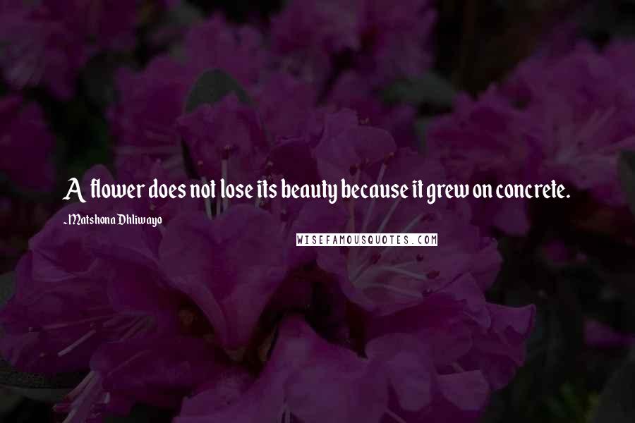 Matshona Dhliwayo Quotes: A flower does not lose its beauty because it grew on concrete.