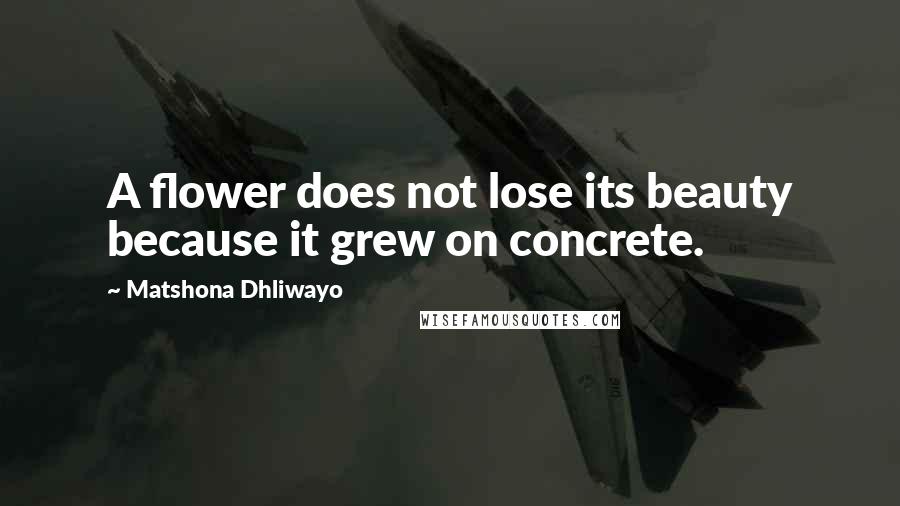 Matshona Dhliwayo Quotes: A flower does not lose its beauty because it grew on concrete.
