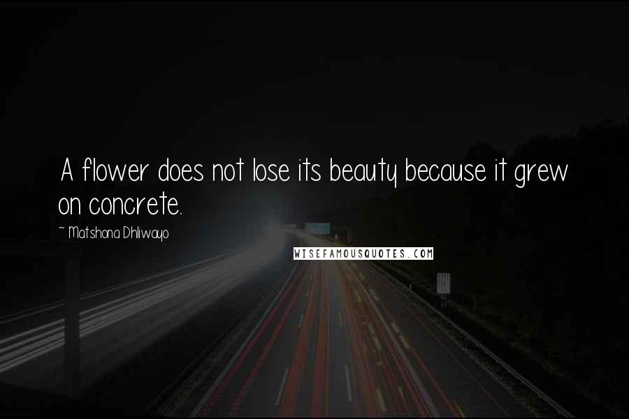 Matshona Dhliwayo Quotes: A flower does not lose its beauty because it grew on concrete.