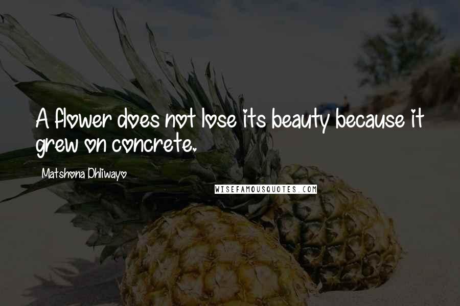 Matshona Dhliwayo Quotes: A flower does not lose its beauty because it grew on concrete.