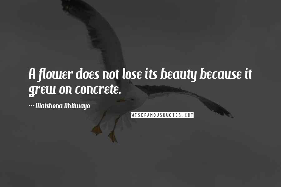 Matshona Dhliwayo Quotes: A flower does not lose its beauty because it grew on concrete.