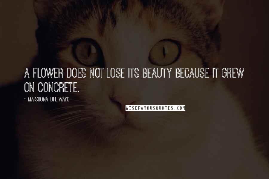 Matshona Dhliwayo Quotes: A flower does not lose its beauty because it grew on concrete.