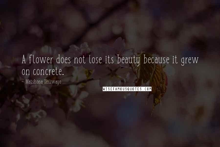 Matshona Dhliwayo Quotes: A flower does not lose its beauty because it grew on concrete.