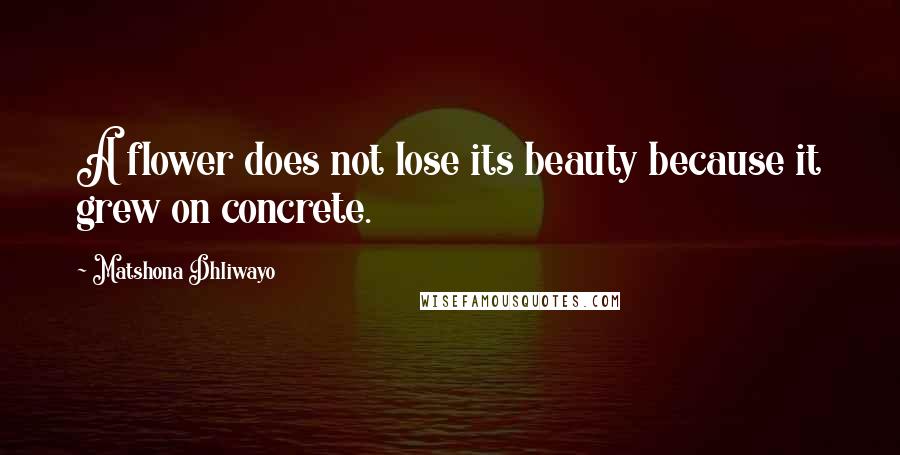 Matshona Dhliwayo Quotes: A flower does not lose its beauty because it grew on concrete.