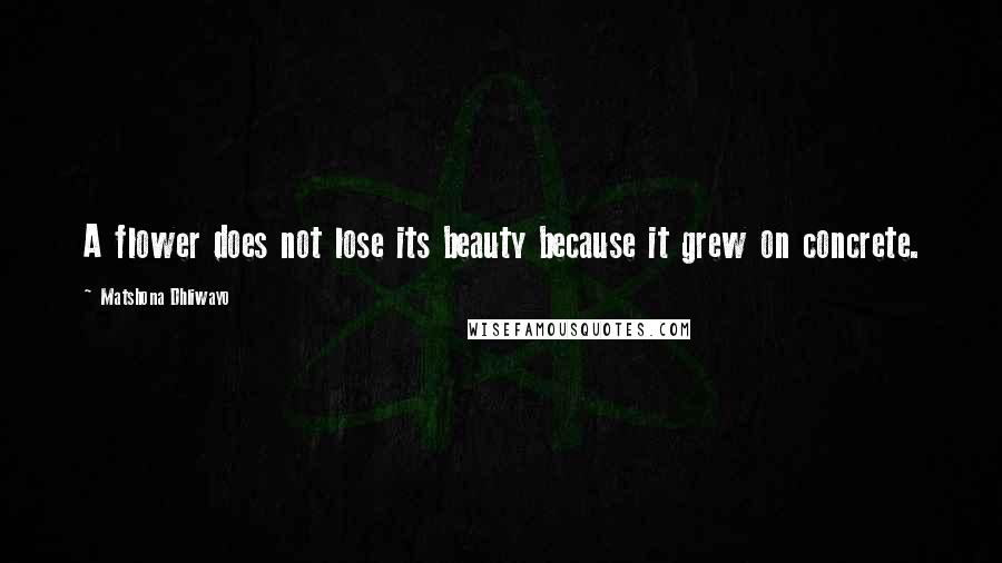 Matshona Dhliwayo Quotes: A flower does not lose its beauty because it grew on concrete.