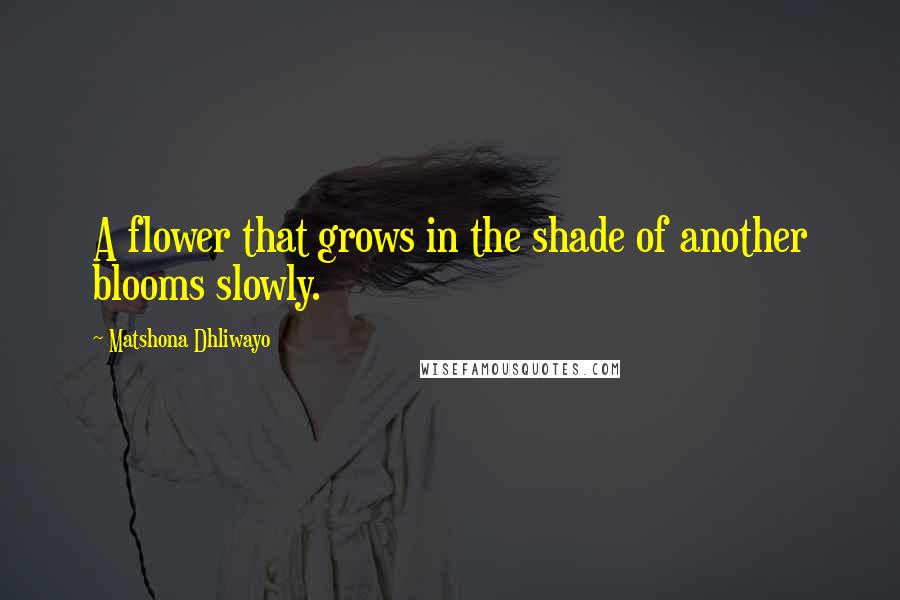 Matshona Dhliwayo Quotes: A flower that grows in the shade of another blooms slowly.