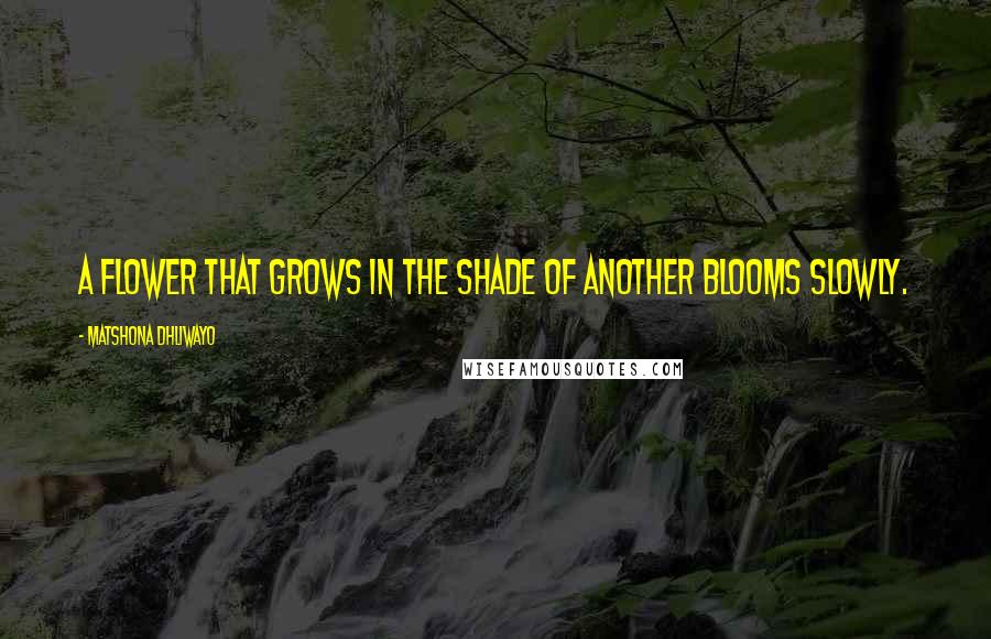 Matshona Dhliwayo Quotes: A flower that grows in the shade of another blooms slowly.