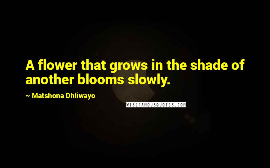 Matshona Dhliwayo Quotes: A flower that grows in the shade of another blooms slowly.