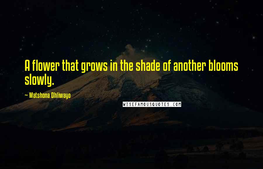 Matshona Dhliwayo Quotes: A flower that grows in the shade of another blooms slowly.