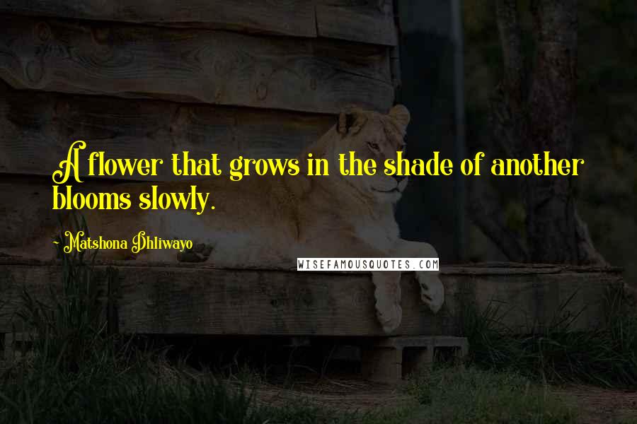 Matshona Dhliwayo Quotes: A flower that grows in the shade of another blooms slowly.