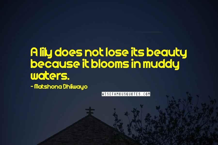 Matshona Dhliwayo Quotes: A lily does not lose its beauty because it blooms in muddy waters.