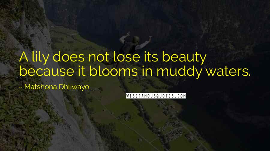 Matshona Dhliwayo Quotes: A lily does not lose its beauty because it blooms in muddy waters.