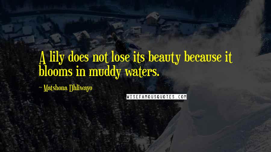 Matshona Dhliwayo Quotes: A lily does not lose its beauty because it blooms in muddy waters.