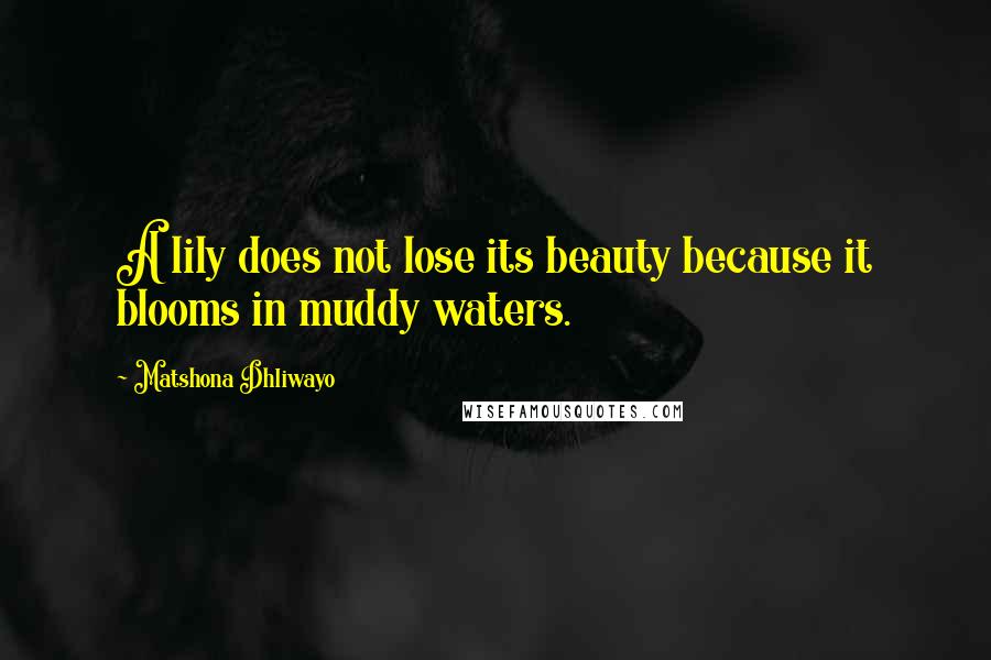 Matshona Dhliwayo Quotes: A lily does not lose its beauty because it blooms in muddy waters.