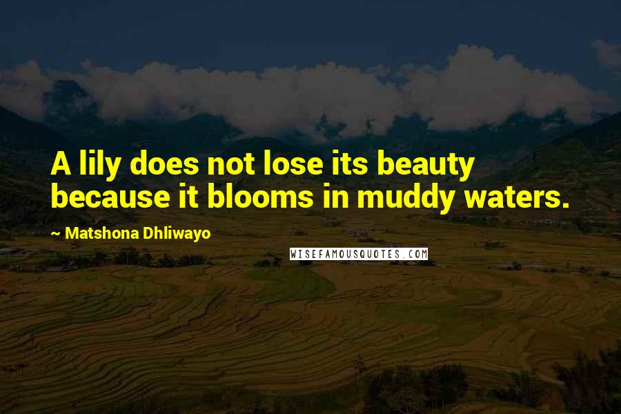 Matshona Dhliwayo Quotes: A lily does not lose its beauty because it blooms in muddy waters.