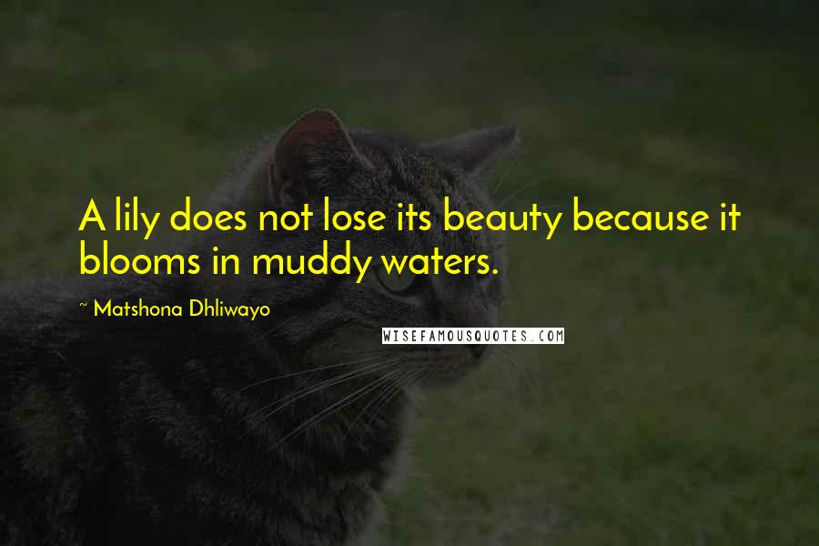 Matshona Dhliwayo Quotes: A lily does not lose its beauty because it blooms in muddy waters.