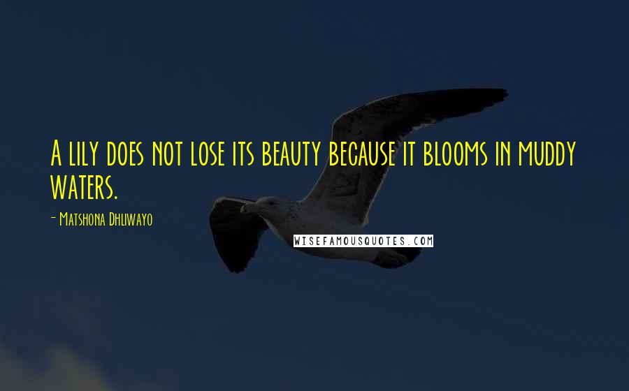 Matshona Dhliwayo Quotes: A lily does not lose its beauty because it blooms in muddy waters.