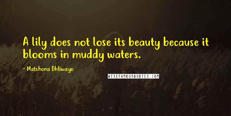 Matshona Dhliwayo Quotes: A lily does not lose its beauty because it blooms in muddy waters.